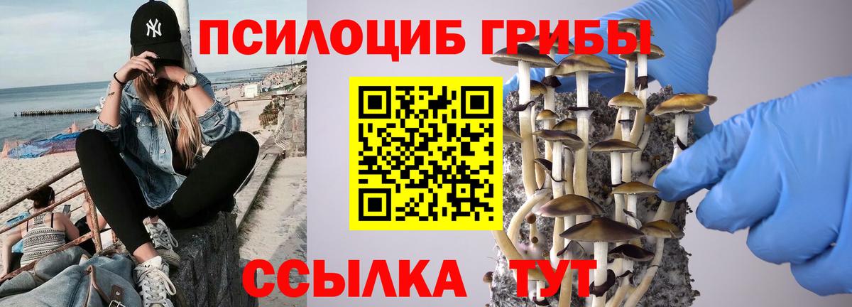 Псилоцибиновые грибы MAGIC MUSHROOMS  Псилоцибиновые грибы прущие грибы  Вход с VPN  Людиново 